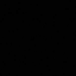 Meet your Posher, Carmen